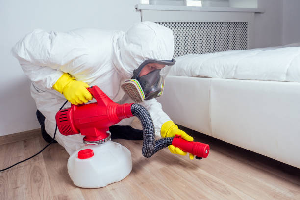 Best Pest Removal Services  in Taylor, AZ