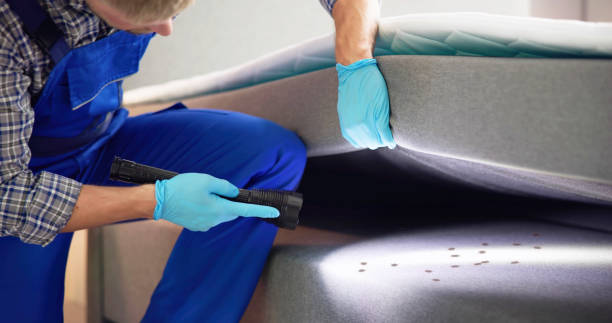 Best Emergency Pest Control  in Taylor, AZ