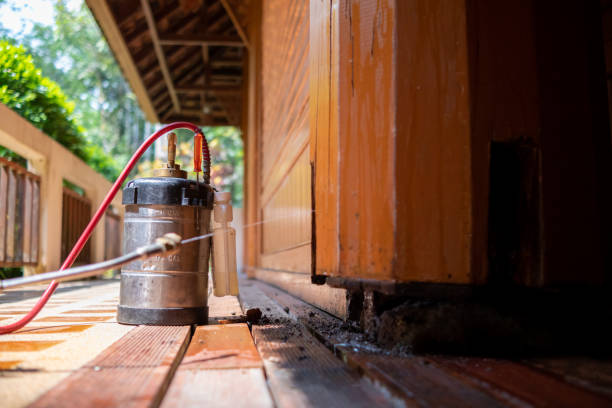 Best Pest Control for Homes  in Taylor, AZ